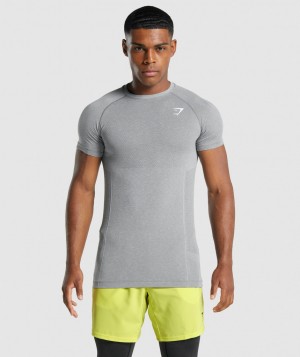 Pánské Tričko Gymshark Vital Light Seamless Šedé | 79054-RPWL